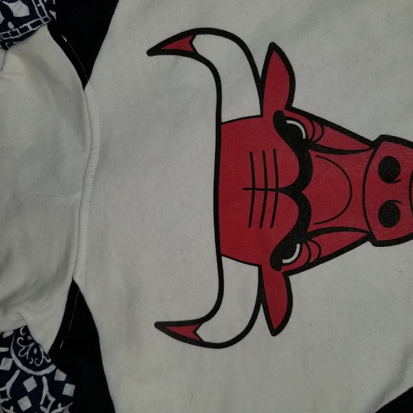 NBA UNISEX LG 1966 CHICAGO BULLS HOODIE (READ DESCRIPTION) - Picture 8 of 8